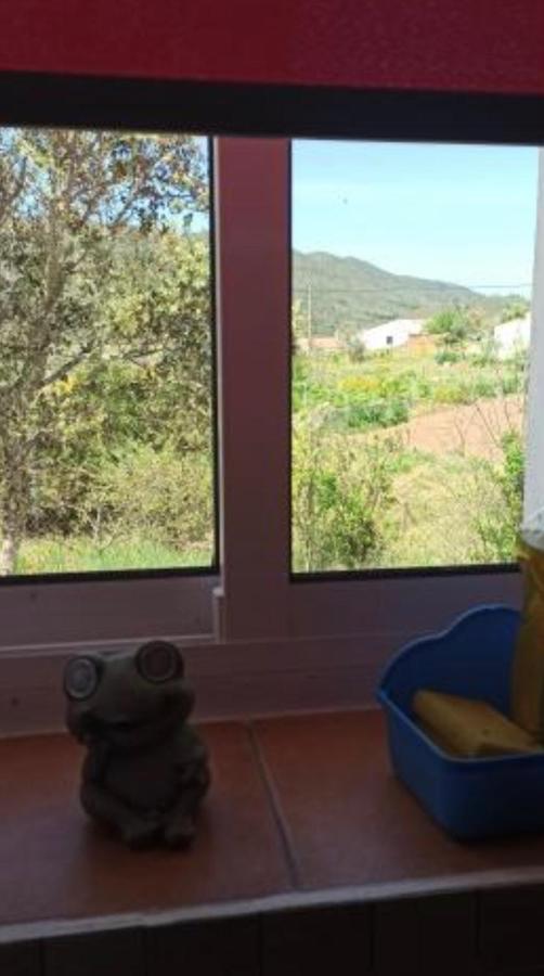 Villa Refugio Dos Sapinhos Silves Esterno foto